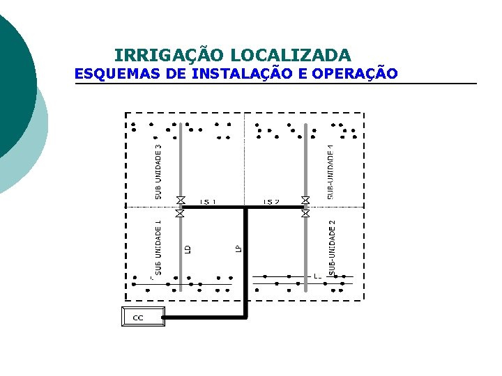 IRRIGAÇÃO LOCALIZADA ESQUEMAS DE INSTALAÇÃO E OPERAÇÃO 