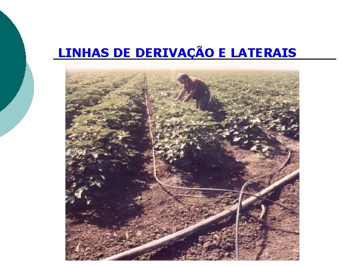 LINHAS DE DERIVAÇÃO E LATERAIS 