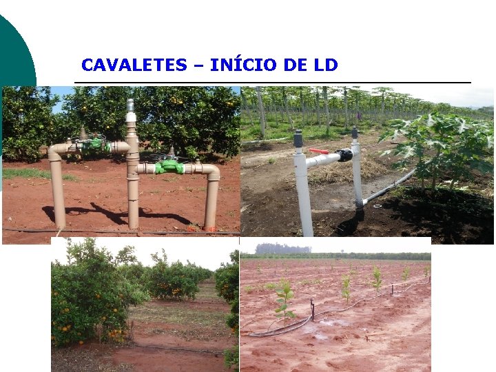 CAVALETES – INÍCIO DE LD 