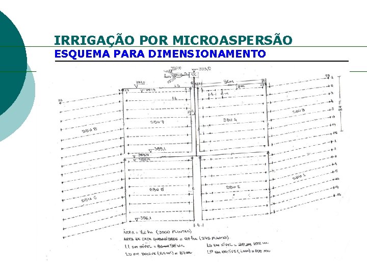 IRRIGAÇÃO POR MICROASPERSÃO ESQUEMA PARA DIMENSIONAMENTO 