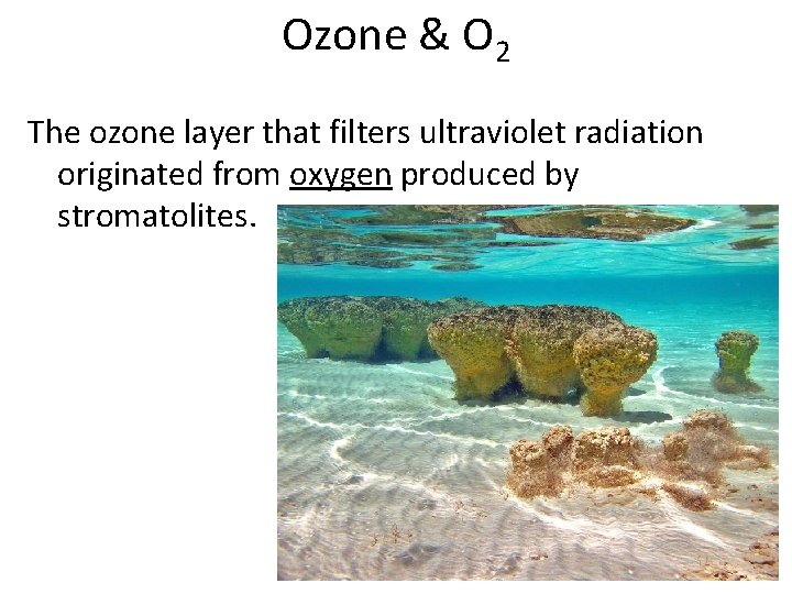 Ozone & O 2 The ozone layer that filters ultraviolet radiation originated from oxygen