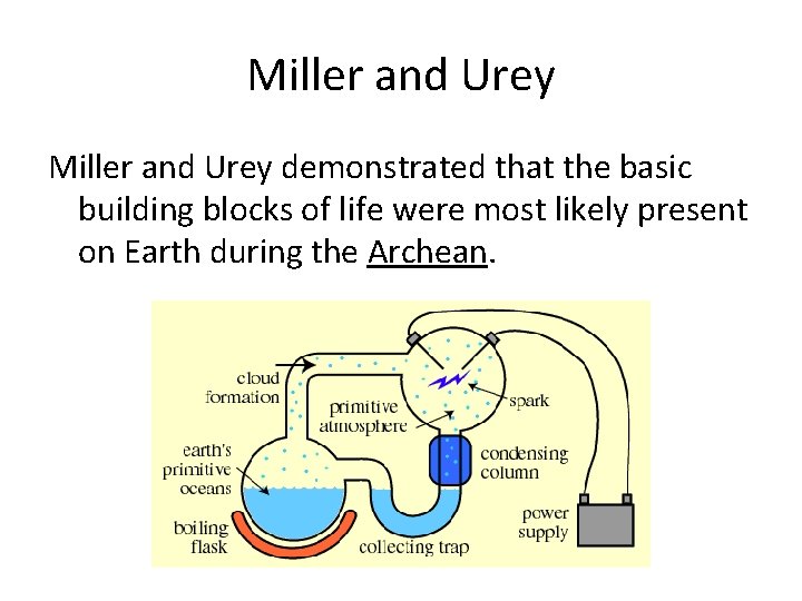 Miller and Urey demonstrated that the basic building blocks of life were most likely