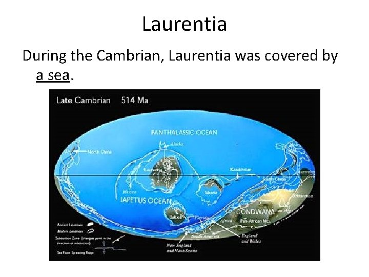 Laurentia During the Cambrian, Laurentia was covered by a sea. 