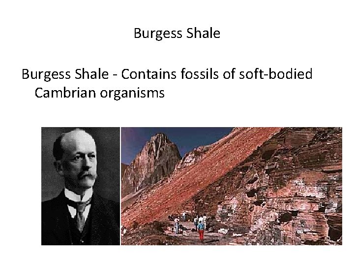 Burgess Shale - Contains fossils of soft-bodied Cambrian organisms 
