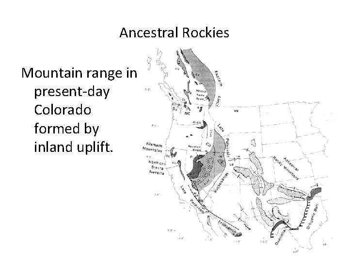 Ancestral Rockies Mountain range in present-day Colorado formed by inland uplift. 