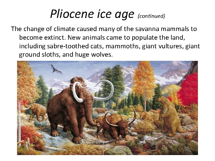 Pliocene ice age (continued) The change of climate caused many of the savanna mammals