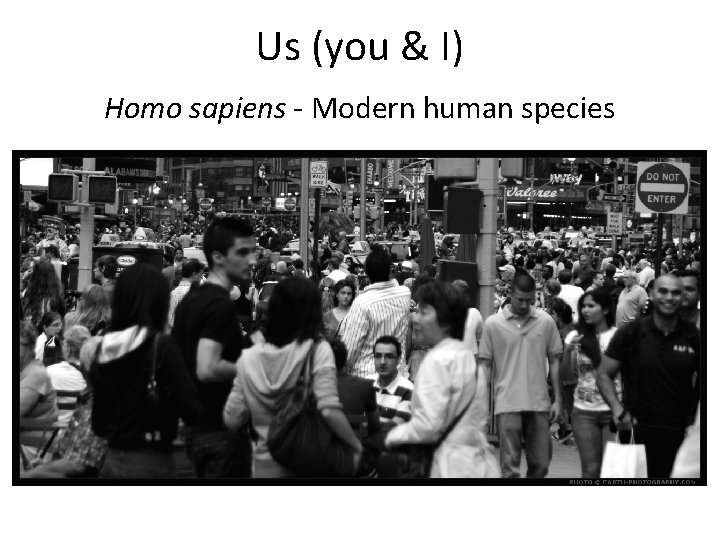 Us (you & I) Homo sapiens - Modern human species 
