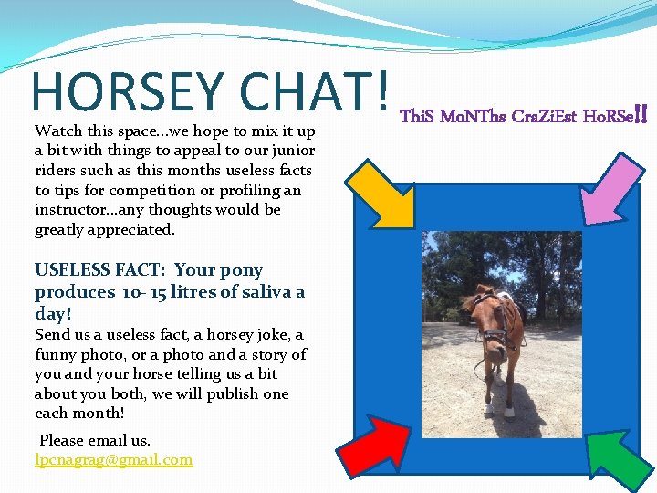 HORSEY CHAT! Thi. S Mo. NThs Cra. Zi. Est Ho. RSe!! Watch this space.