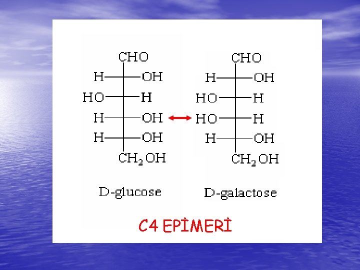 C 4 EPİMERİ 