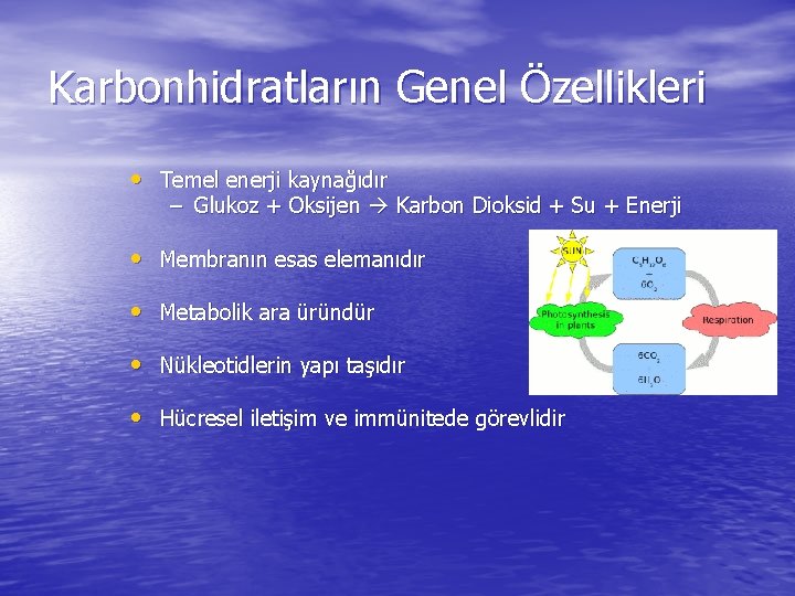 Karbonhidratların Genel Özellikleri • Temel enerji kaynağıdır – Glukoz + Oksijen Karbon Dioksid +
