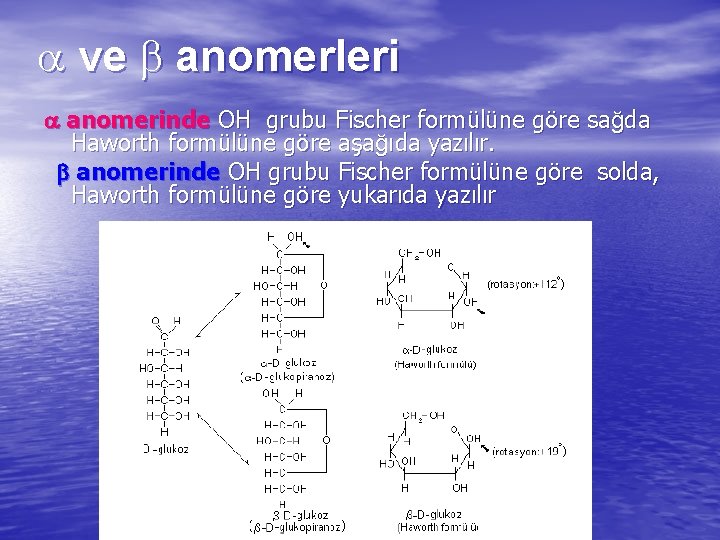  ve anomerleri anomerinde OH grubu Fischer formülüne göre sağda Haworth formülüne göre aşağıda