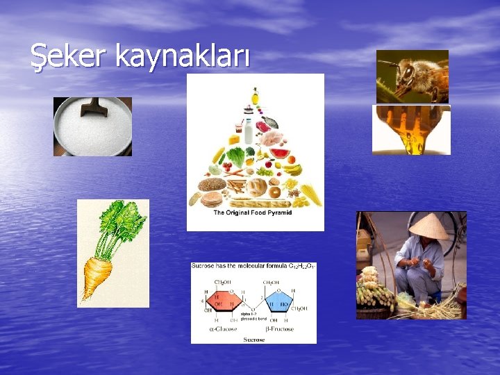 Şeker kaynakları 