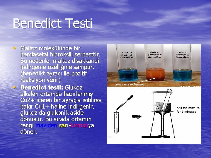 Benedict Testi • Maltoz molekülünde bir • hemiasetal hidroksili serbesttir. Bu nedenle maltoz disakkaridi