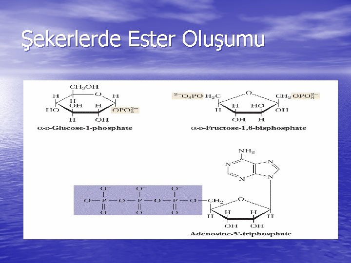 Şekerlerde Ester Oluşumu 