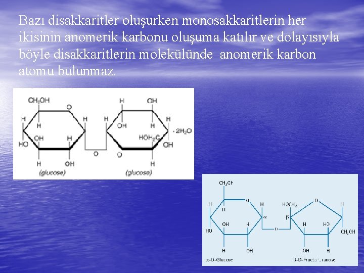 Bazı disakkaritler oluşurken monosakkaritlerin her ikisinin anomerik karbonu oluşuma katılır ve dolayısıyla böyle disakkaritlerin