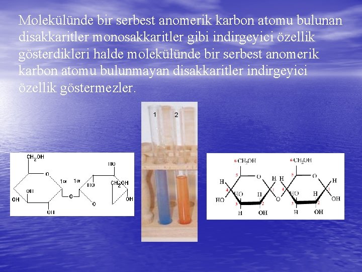 Molekülünde bir serbest anomerik karbon atomu bulunan disakkaritler monosakkaritler gibi indirgeyici özellik gösterdikleri halde