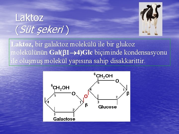 Laktoz (Süt şekeri ) Laktoz, bir galaktoz molekülü ile bir glukoz molekülünün Gal( 1