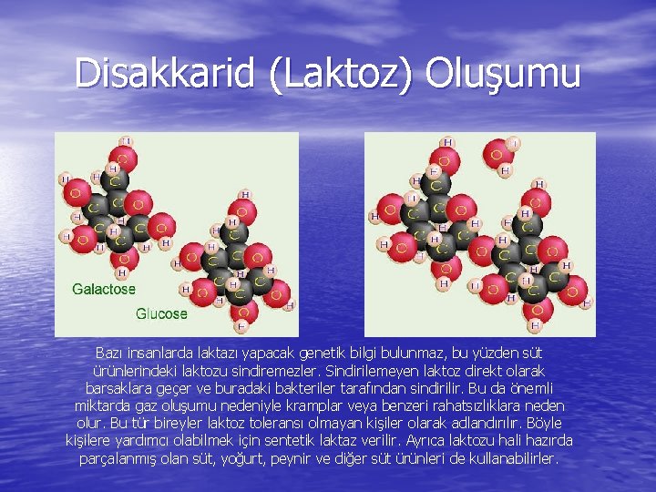 Disakkarid (Laktoz) Oluşumu Bazı insanlarda laktazı yapacak genetik bilgi bulunmaz, bu yüzden süt ürünlerindeki