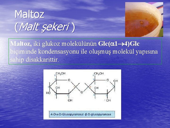 Maltoz (Malt şekeri ) Maltoz, iki glukoz molekülünün Glc( 1 4)Glc biçiminde kondensasyonu ile