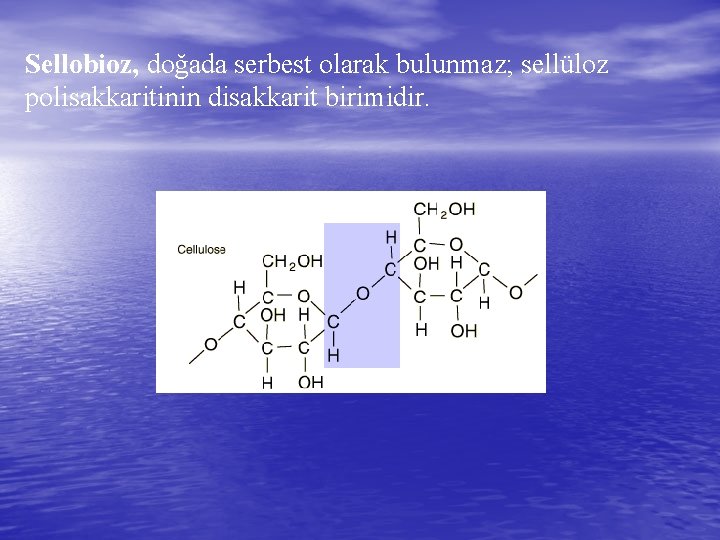 Sellobioz, doğada serbest olarak bulunmaz; sellüloz polisakkaritinin disakkarit birimidir. 