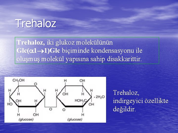 Trehaloz, iki glukoz molekülünün Glc( 1 1)Glc biçiminde kondensasyonu ile oluşmuş molekül yapısına sahip