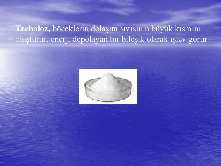 Trehaloz, böceklerin dolaşım sıvısının büyük kısmını oluşturur; enerji depolayan bir bileşik olarak işlev görür.