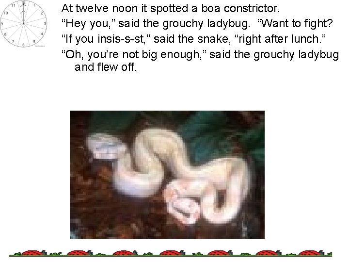 At twelve noon it spotted a boa constrictor. “Hey you, ” said the grouchy