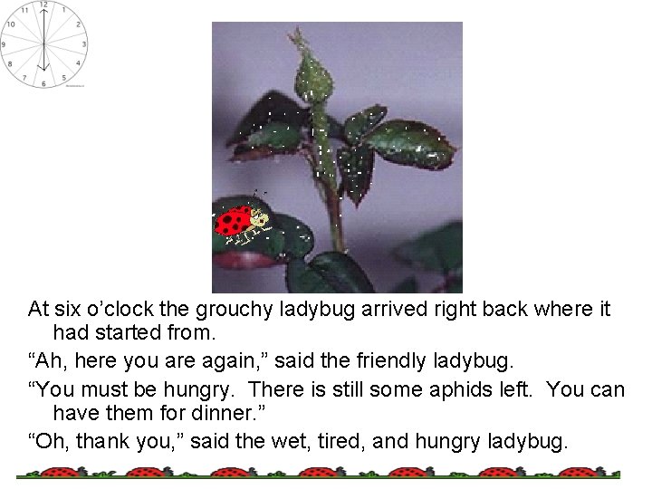 At six o’clock the grouchy ladybug arrived right back where it had started from.