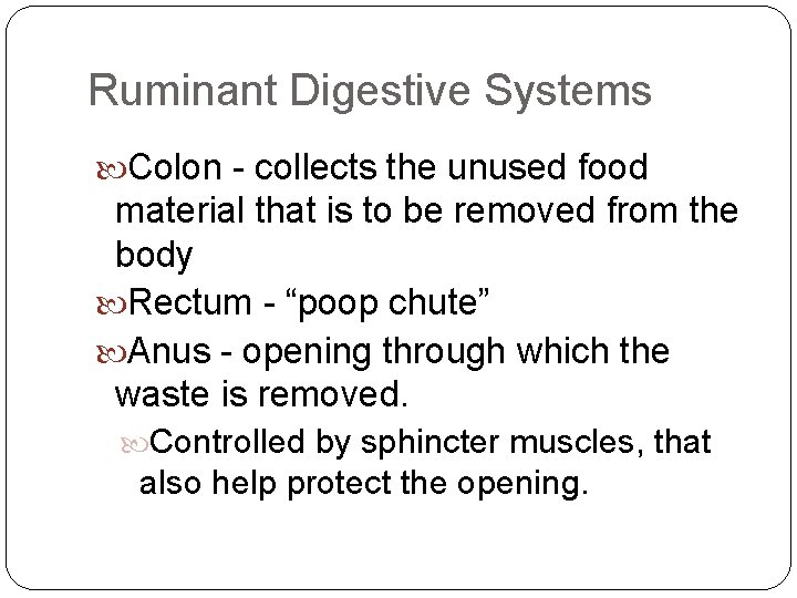 Ruminant Digestive Systems Colon - collects the unused food material that is to be