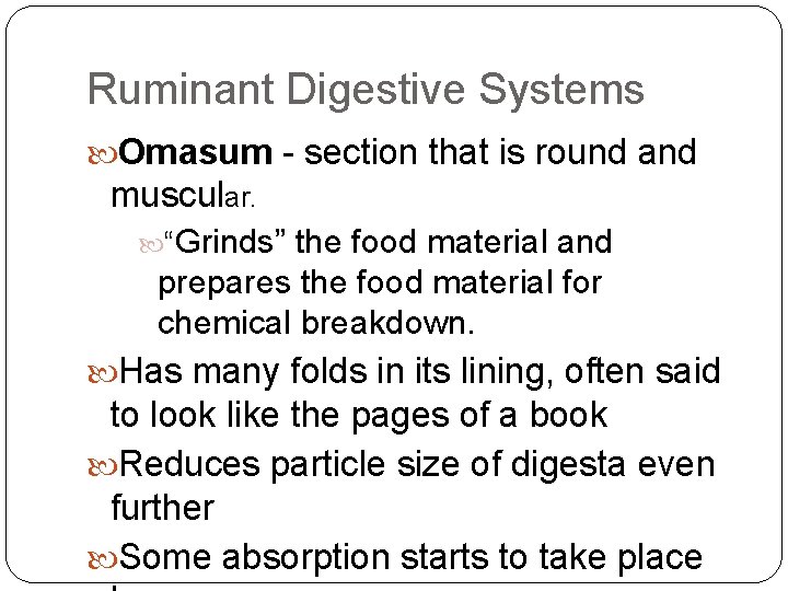 Ruminant Digestive Systems Omasum - section that is round and muscular. “Grinds” the food
