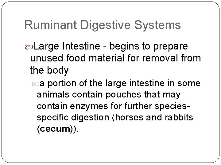 Ruminant Digestive Systems Large Intestine - begins to prepare unused food material for removal