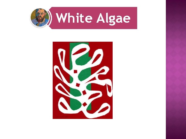 White Algae 