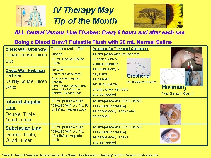 IV Therapy May Tip of the Month ALL Central Venous Line Flushes: Every 8