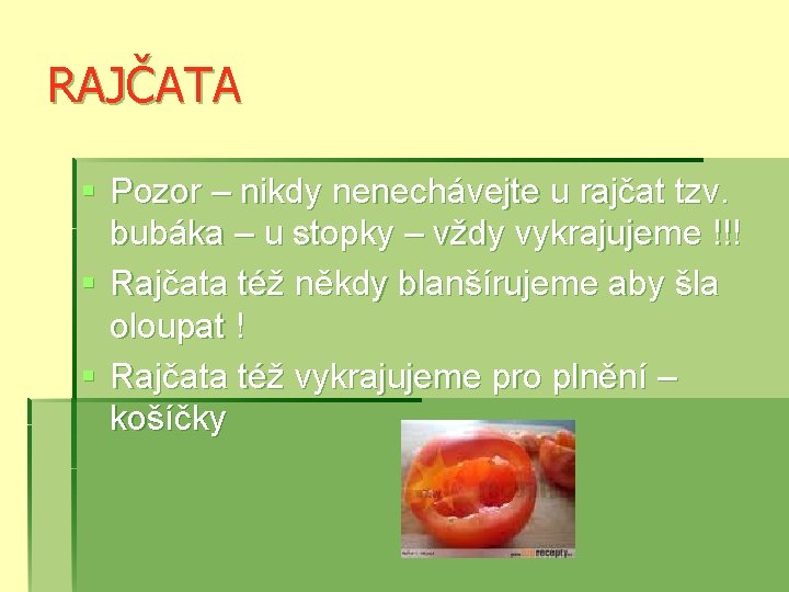 RAJČATA § Pozor – nikdy nenechávejte u rajčat tzv. bubáka – u stopky –