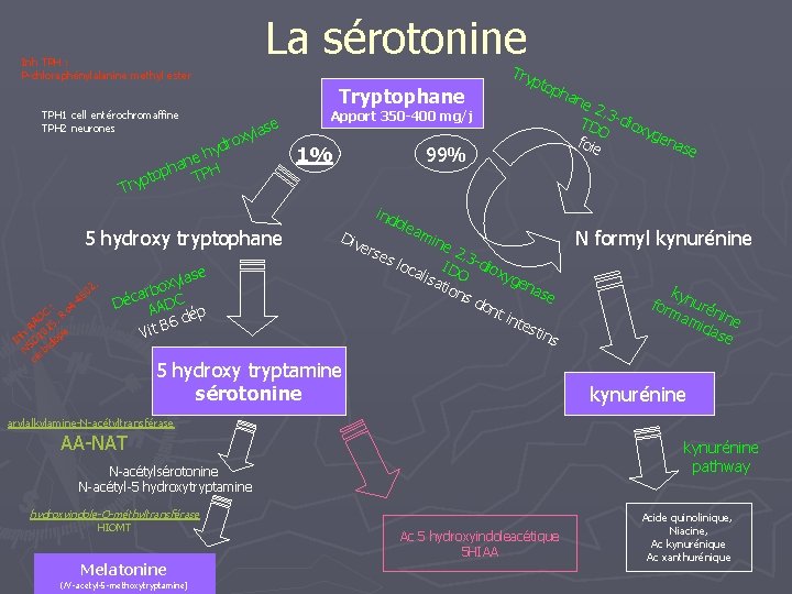 La sérotonine Inh TPH : P-chloraphénylalanine methyl ester TPH 1 cell entérochromaffine TPH 2