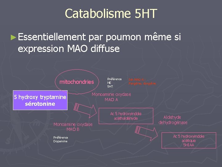 Catabolisme 5 HT ► Essentiellement par poumon même si expression MAO diffuse mitochondries 5