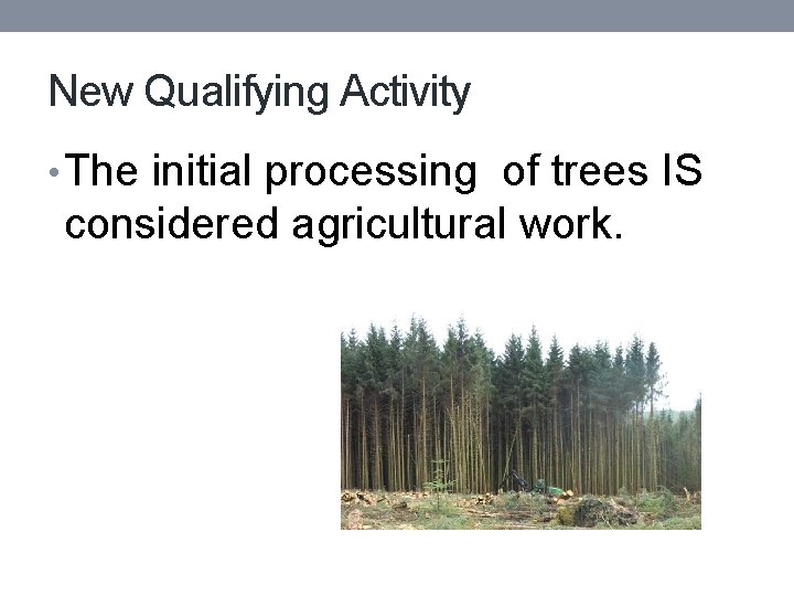 New Qualifying Activity • The initial processing of trees IS considered agricultural work. 