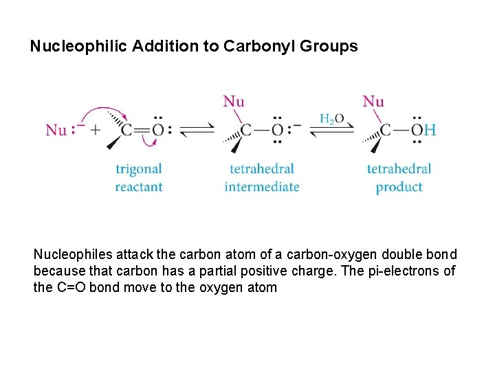 Nucleophilic Addition to Carbonyl Groups Nucleophiles attack the carbon atom of a carbon-oxygen double