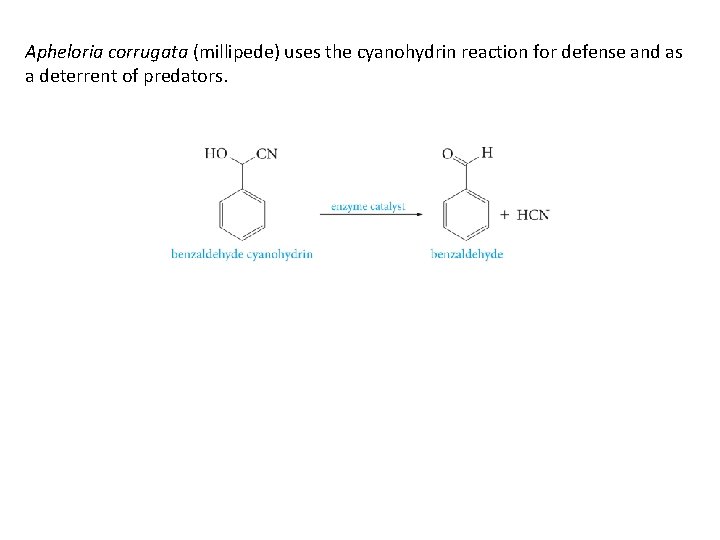 Apheloria corrugata (millipede) uses the cyanohydrin reaction for defense and as a deterrent of