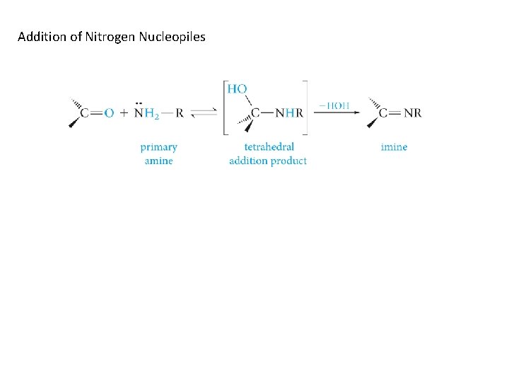 Addition of Nitrogen Nucleopiles 