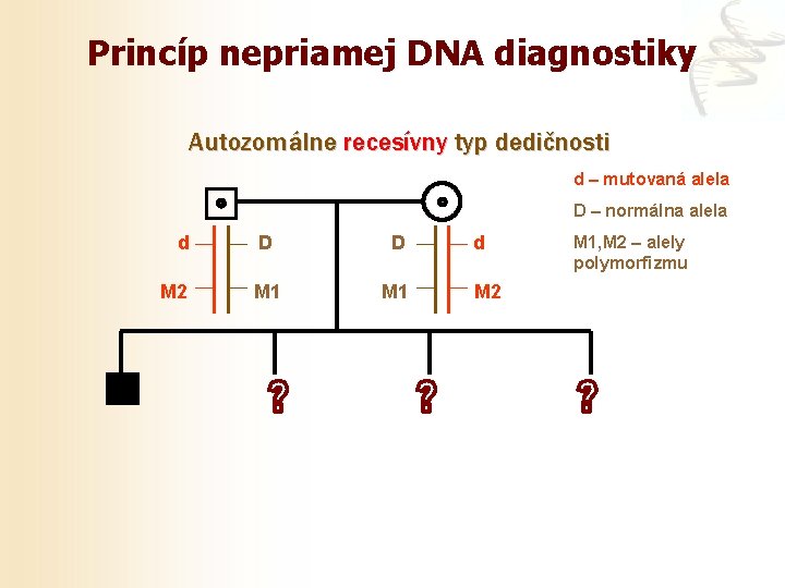 Princíp nepriamej DNA diagnostiky Autozomálne recesívny typ dedičnosti d – mutovaná alela D –