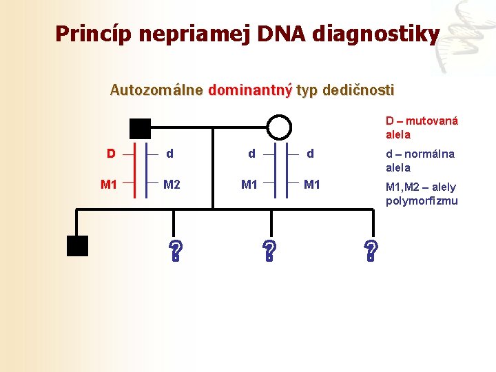 Princíp nepriamej DNA diagnostiky Autozomálne dominantný typ dedičnosti D – mutovaná alela D d