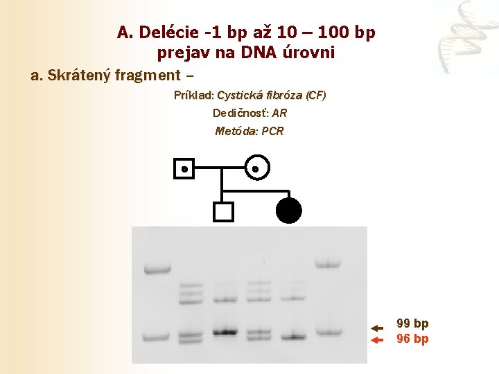 A. Delécie -1 bp až 10 – 100 bp prejav na DNA úrovni a.