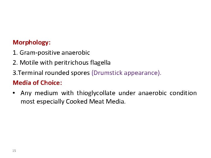 Morphology: 1. Gram-positive anaerobic 2. Motile with peritrichous flagella 3. Terminal rounded spores (Drumstick