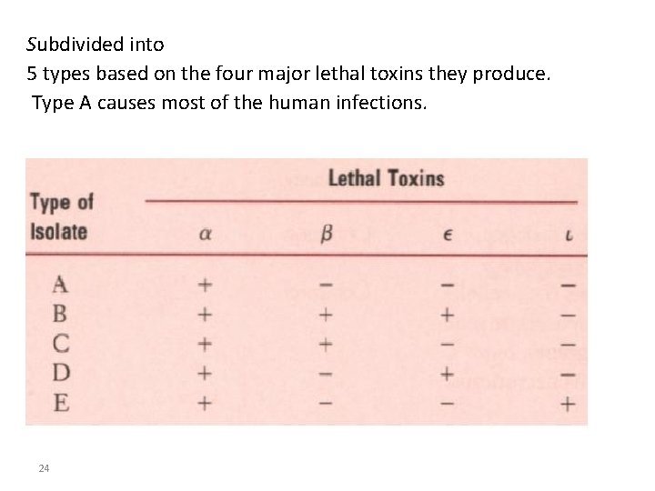 Subdivided into 5 types based on the four major lethal toxins they produce. Type