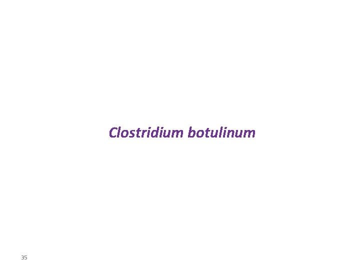 Clostridium botulinum 35 