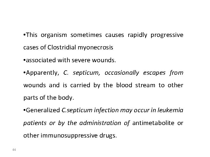  • This organism sometimes causes rapidly progressive cases of Clostridial myonecrosis • associated