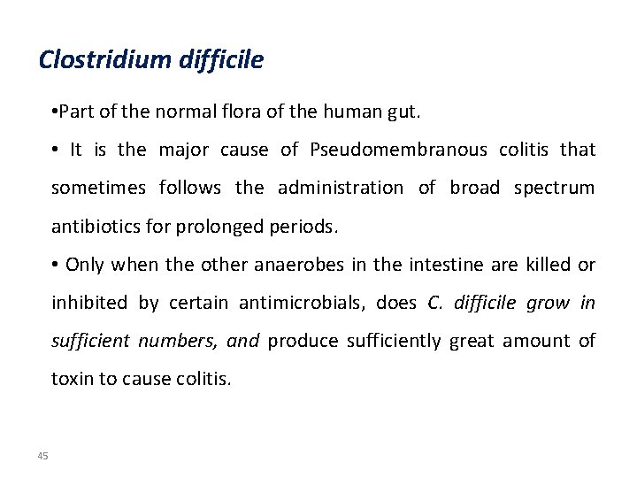 Clostridium difficile • Part of the normal flora of the human gut. • It