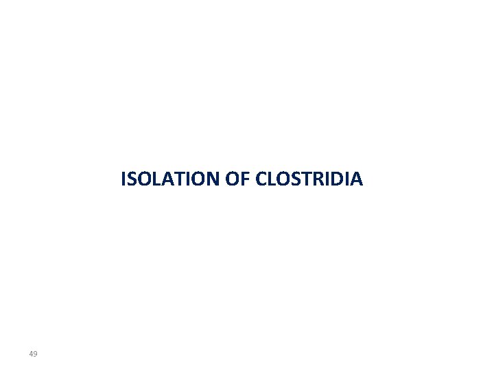 ISOLATION OF CLOSTRIDIA 49 