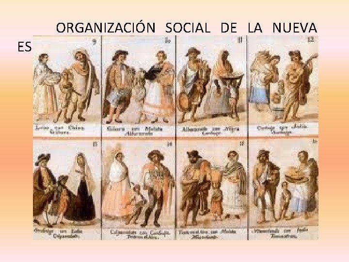  ORGANIZACIÓN SOCIAL DE LA NUEVA ESPAÑA 